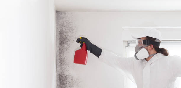 Best Bathroom Mold Remediation in Sparks, TX